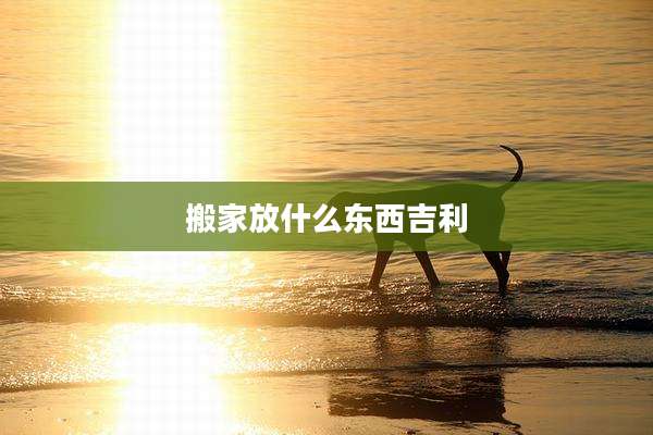 搬家放什么东西吉利