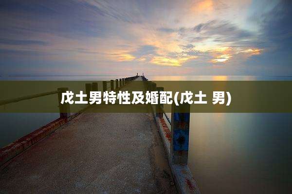 戊土男特性及婚配(戊土 男)