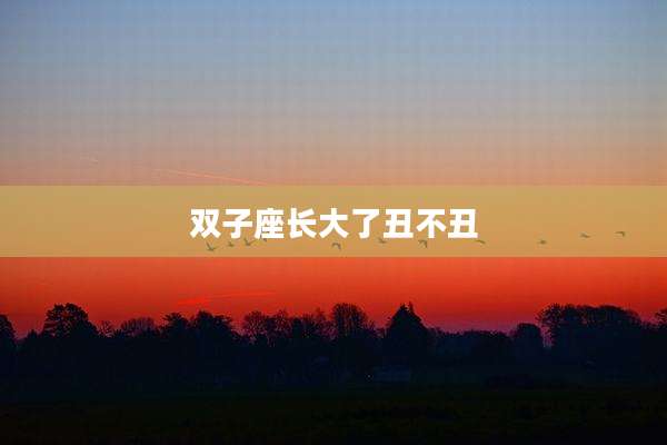 双子座长大了丑不丑
