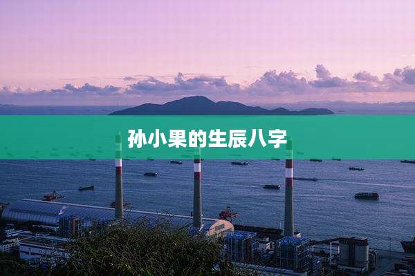 孙小果的生辰八字