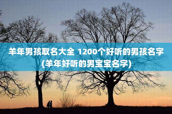 羊年男孩取名大全 1200个好听的男孩名字(羊年好听的男宝宝名字)