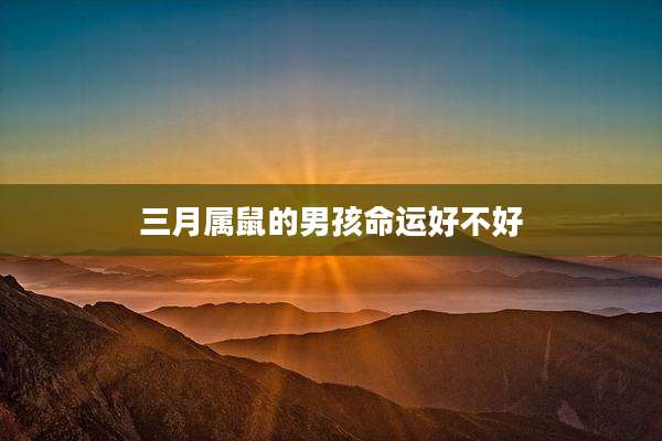 三月属鼠的男孩命运好不好
