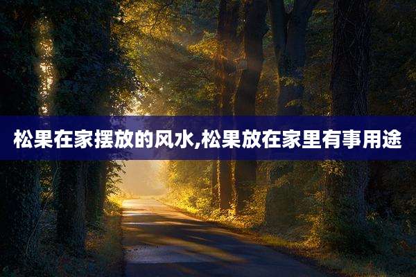 松果在家摆放的风水,松果放在家里有事用途