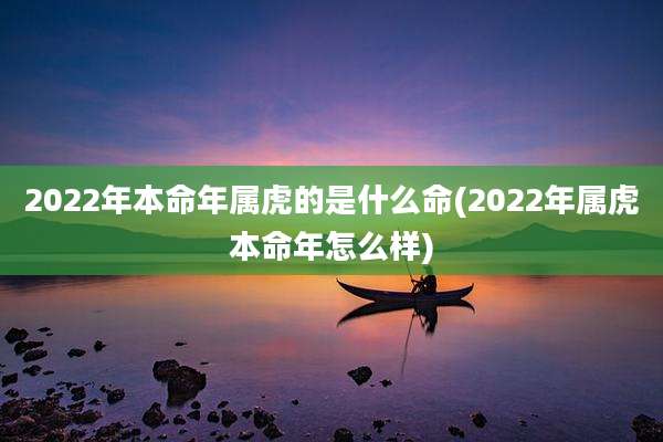 2022年本命年属虎的是什么命(2022年属虎本命年怎么样)