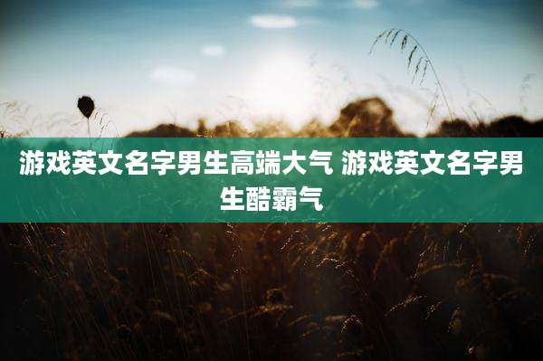 游戏英文名字男生高端大气 游戏英文名字男生酷霸气