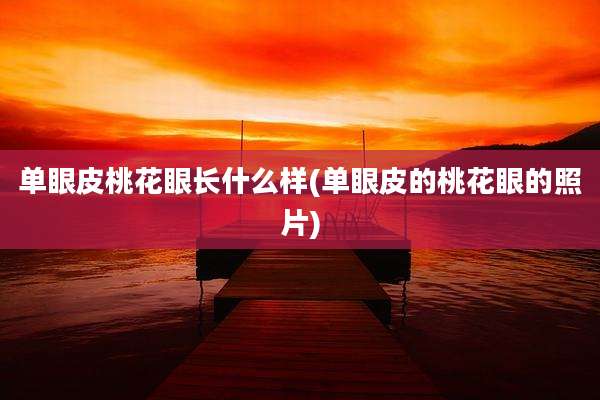 单眼皮桃花眼长什么样(单眼皮的桃花眼的照片)
