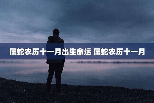 属蛇农历十一月出生命运 属蛇农历十一月