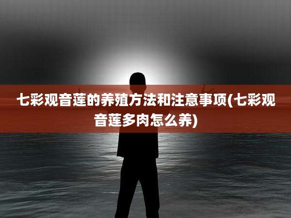 七彩观音莲的养殖方法和注意事项(七彩观音莲多肉怎么养)