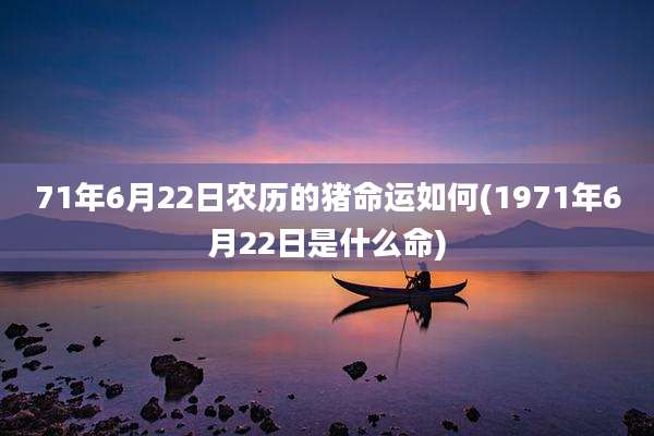 71年6月22日农历的猪命运如何(1971年6月22日是什么命)