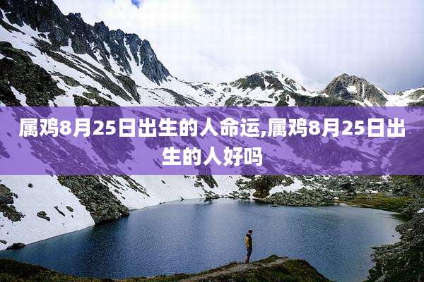属鸡8月25日出生的人命运,属鸡8月25日出生的人好吗