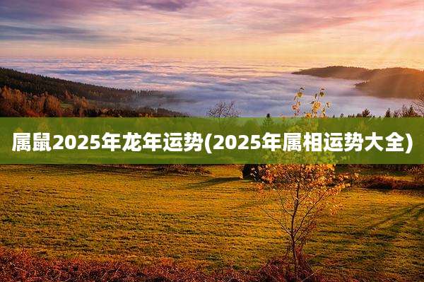 属鼠2025年龙年运势(2025年属相运势大全)