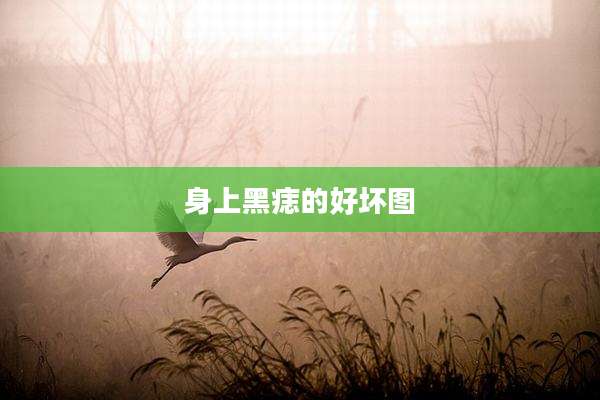 身上黑痣的好坏图