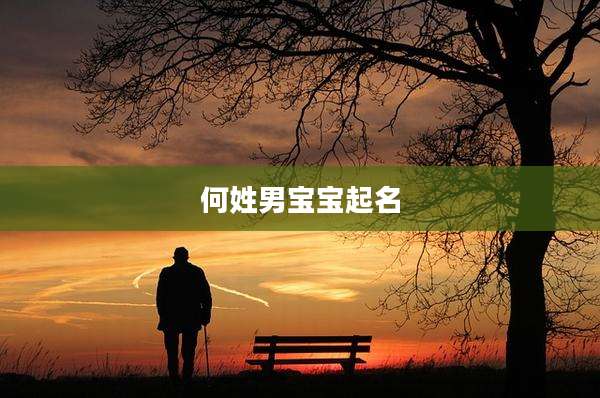 何姓男宝宝起名