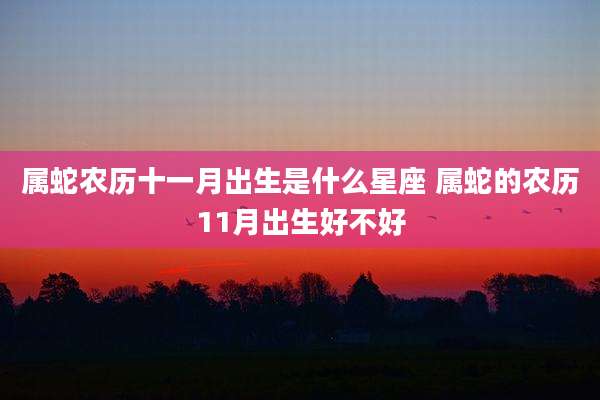 属蛇农历十一月出生是什么星座 属蛇的农历11月出生好不好