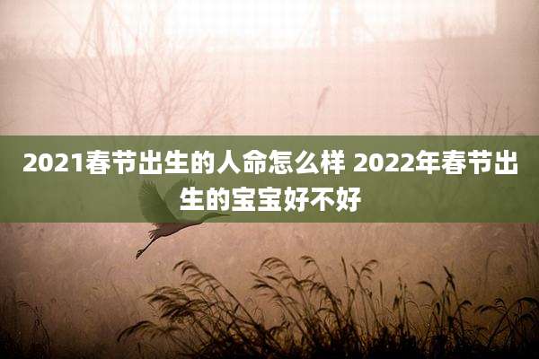 2021春节出生的人命怎么样 2022年春节出生的宝宝好不好