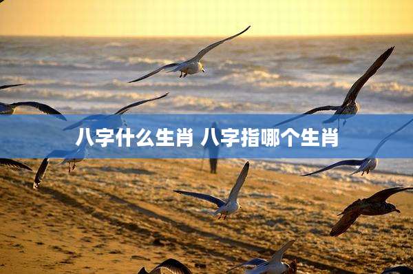 八字什么生肖 八字指哪个生肖