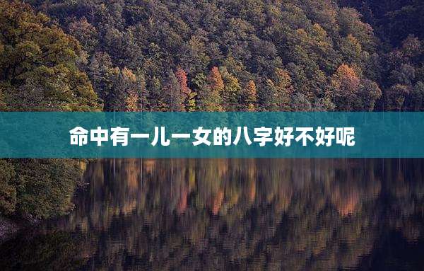 命中有一儿一女的八字好不好呢