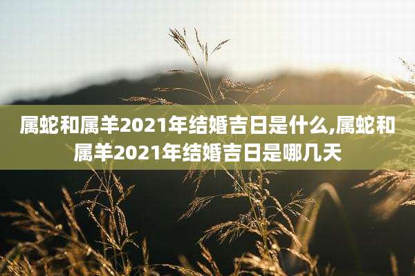 属蛇和属羊2021年结婚吉日是什么,属蛇和属羊2021年结婚吉日是哪几天