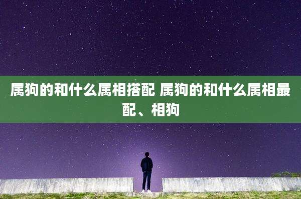 属狗的和什么属相搭配 属狗的和什么属相最配、相狗