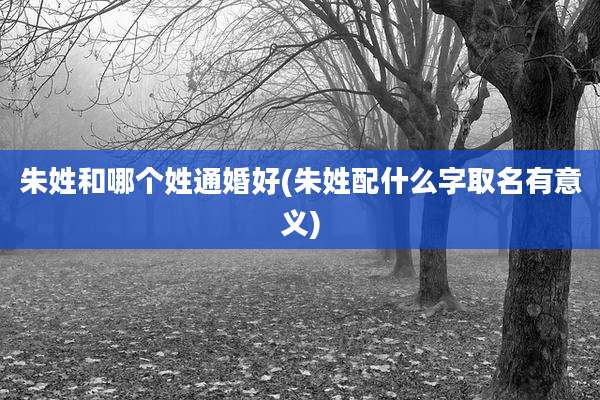 朱姓和哪个姓通婚好(朱姓配什么字取名有意义)