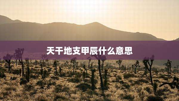 天干地支甲辰什么意思