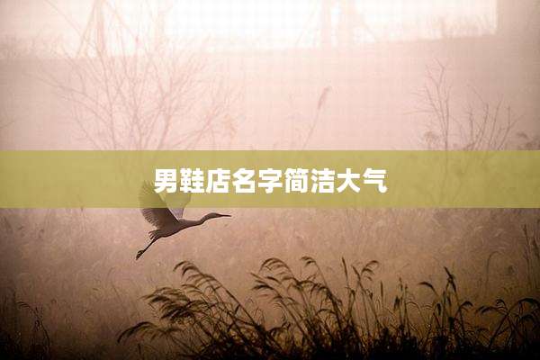男鞋店名字简洁大气
