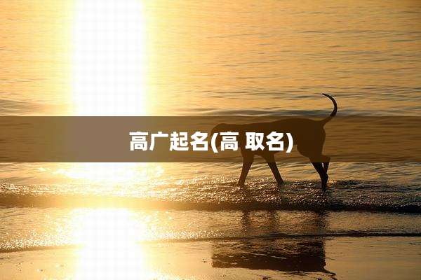 高广起名(高 取名)