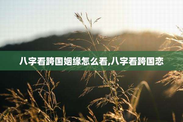 八字看跨国姻缘怎么看,八字看跨国恋