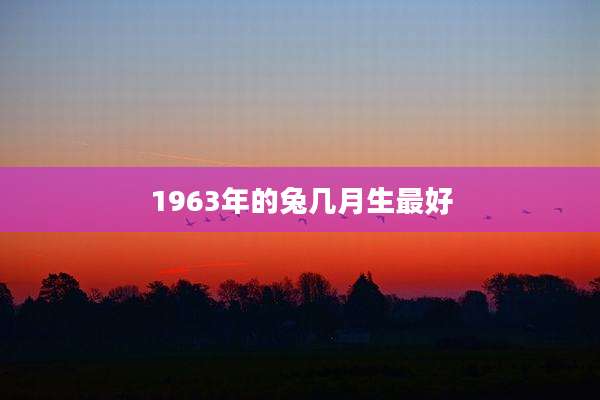 1963年的兔几月生最好