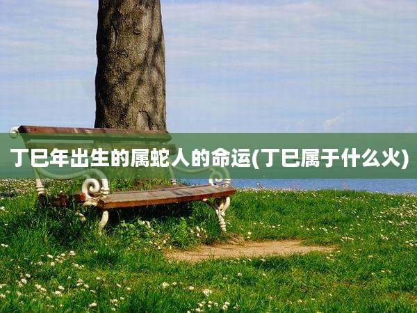 丁巳年出生的属蛇人的命运(丁巳属于什么火)