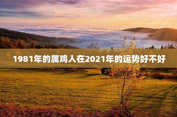 1981年的属鸡人在2021年的运势好不好