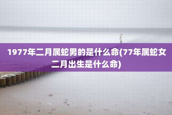 1977年二月属蛇男的是什么命(77年属蛇女二月出生是什么命)