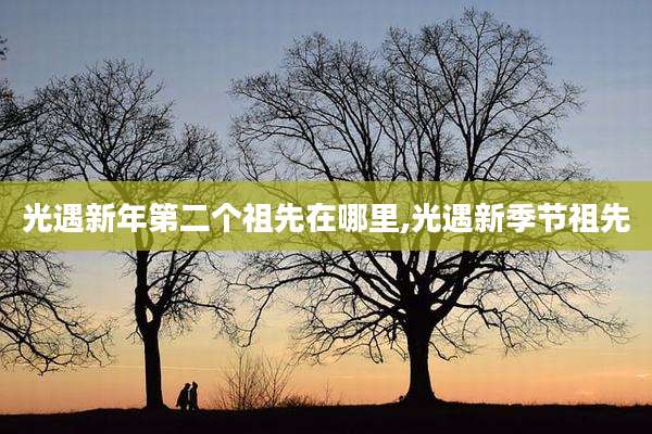 光遇新年第二个祖先在哪里,光遇新季节祖先