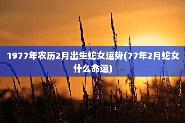 1977年农历2月出生蛇女运势(77年2月蛇女什么命运)