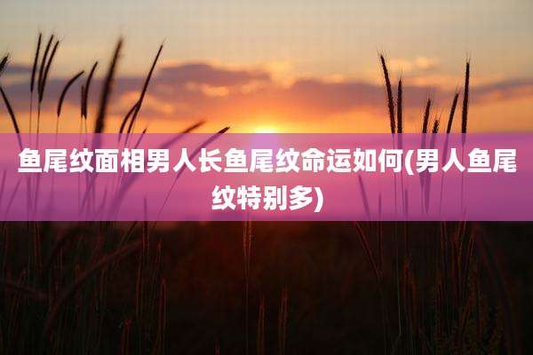 鱼尾纹面相男人长鱼尾纹命运如何(男人鱼尾纹特别多)