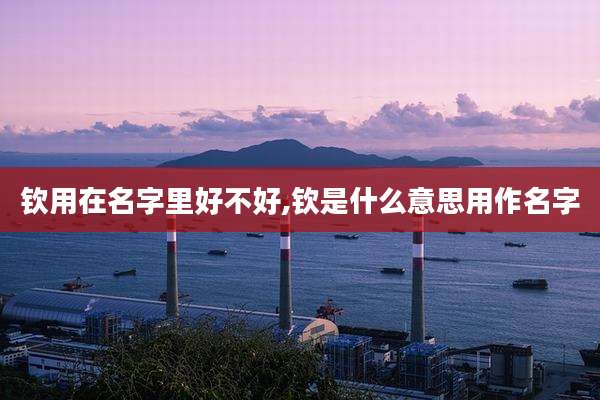 钦用在名字里好不好,钦是什么意思用作名字