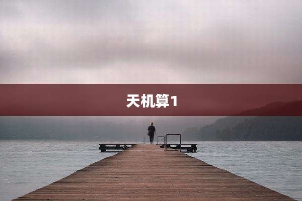 天机算1