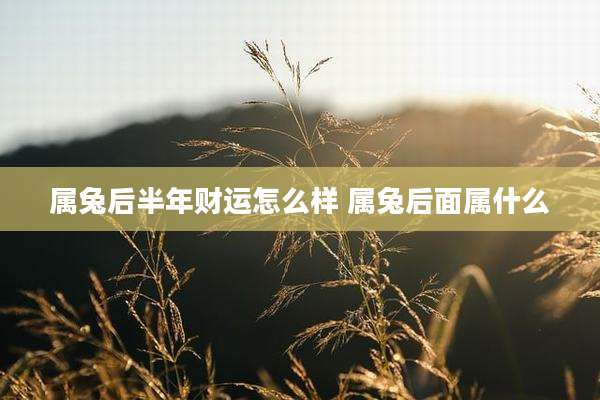 属兔后半年财运怎么样 属兔后面属什么
