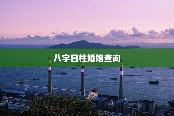 八字日柱婚姻查询
