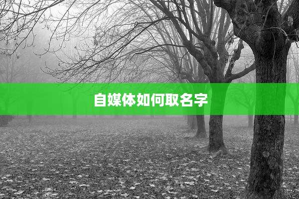 自媒体如何取名字