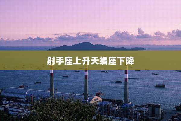 射手座上升天蝎座下降