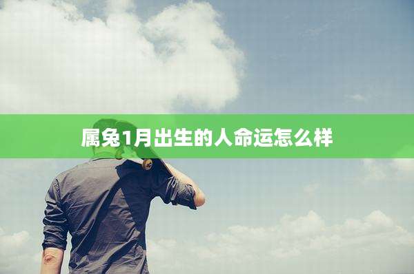 属兔1月出生的人命运怎么样