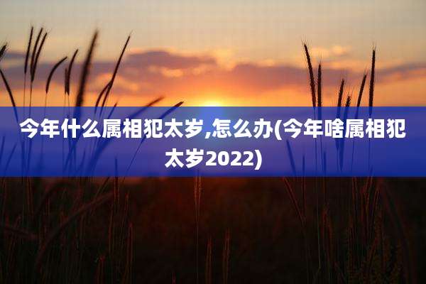 今年什么属相犯太岁,怎么办(今年啥属相犯太岁2022)