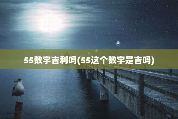 55数字吉利吗(55这个数字是吉吗)
