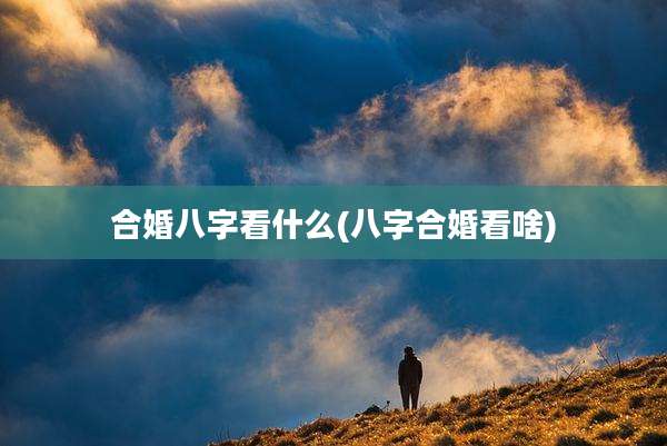 合婚八字看什么(八字合婚看啥)