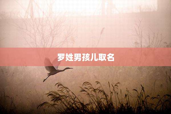 罗姓男孩儿取名