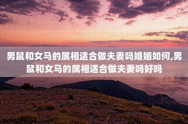 男鼠和女马的属相适合做夫妻吗婚姻如何,男鼠和女马的属相适合做夫妻吗好吗