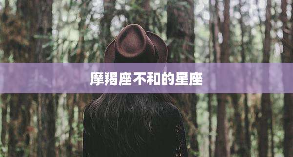摩羯座不和的星座