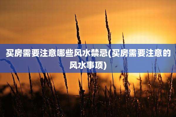买房需要注意哪些风水禁忌(买房需要注意的风水事项)
