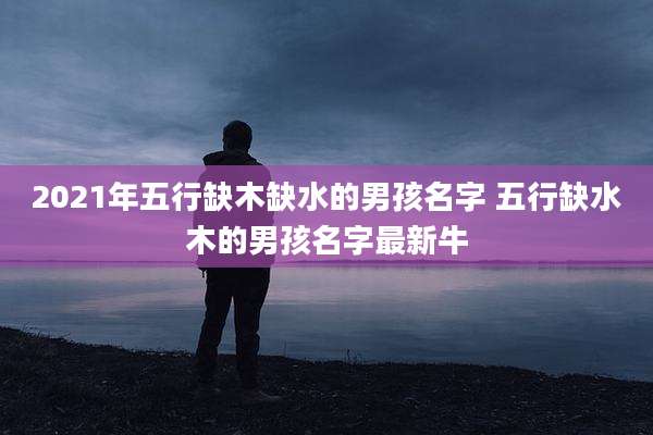 2021年五行缺木缺水的男孩名字 五行缺水木的男孩名字最新牛